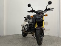 USED 2019 69 HONDA MSX125 YOSHIMURA EXHAUST - EXTRAS COMES WITH NEW MOT AND WARRANTY
