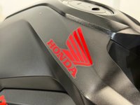 USED 2019 69 HONDA MSX125 YOSHIMURA EXHAUST - EXTRAS COMES WITH NEW MOT AND WARRANTY