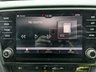 USED 2019 69 SKODA OCTAVIA 1.5 TSI GPF ACT SE L Hatchback 5dr Petrol Manual Euro 6 (s/s) (150 ps) 17'' ALLOY WHEELS ,REAR PARKING SENSORS, SERVICE HISTORY ,SAT NAV , APPLE CARPLAY/ANDROID AUTO , BLUETOOH CONNECTIVITY , CRUISE CONTROL , DUAL CLIMATE CONTROL