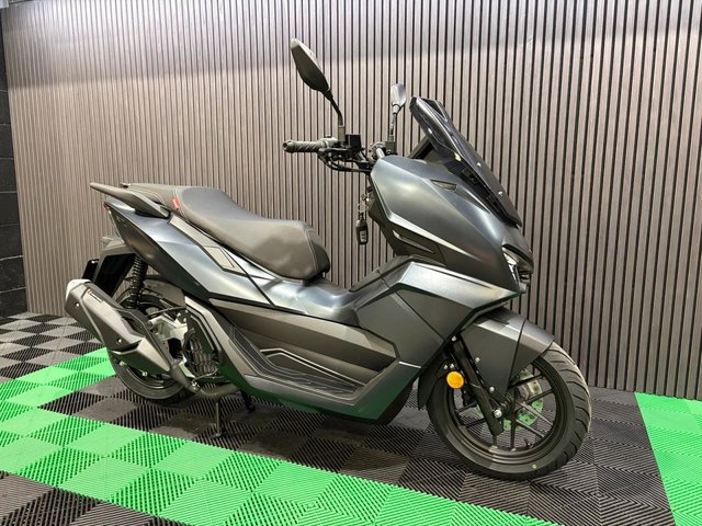 View our LEXMOTO D2