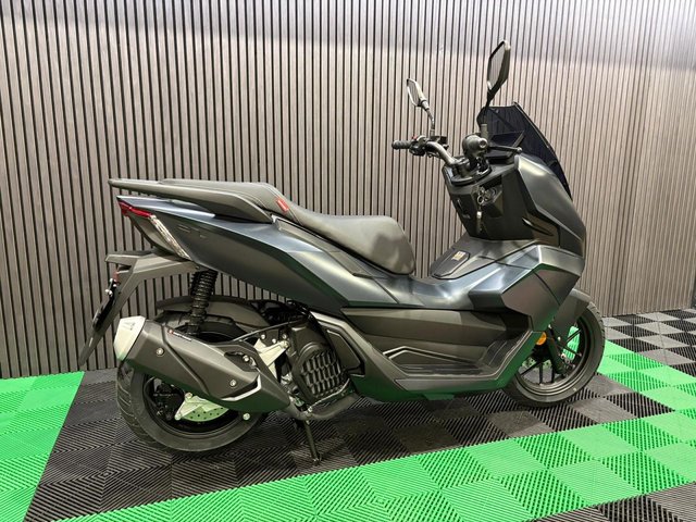 View our LEXMOTO D2
