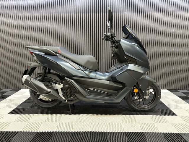 View our LEXMOTO D2
