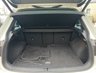 USED 2017 67 VOLKSWAGEN TIGUAN 2.0 TDI R-Line SUV 5dr Diesel DSG 4Motion Euro 6 (s/s) (190 ps) - F/S/H - APPLE CAR PLAY - SAT NAV - HEATED SEATS - PAN ROOF - P/SENSORS - ADAPTIVE CRUISE