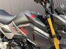 USED 2020 20 HONDA MSX125 FINANCE SPECIALISTS APPLY NOW LOW RATE FINANCE DELIVERY AVAILABLE