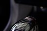 USED 2019 19 SEAT LEON 2.0 TSI Cupra 290 Lux Hatchback 5dr Petrol DSG Euro 6 (s/s) (290 ps) 