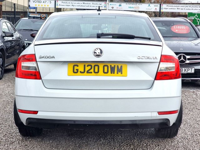 2020 SKODA OCTAVIA - Photo 12