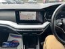 USED 2023 72 SKODA OCTAVIA 2.0 TDI SE L Hatchback 5dr Diesel DSG Euro 6 (s/s) (150 ps) New Cambelt/Waterpump