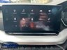 USED 2023 72 SKODA OCTAVIA 2.0 TDI SE L Hatchback 5dr Diesel DSG Euro 6 (s/s) (150 ps) New Cambelt/Waterpump