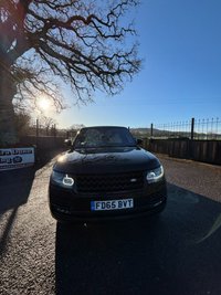 USED 2015 65 LAND ROVER RANGE ROVER 4.4 SD V8 Autobiography SUV 5dr Diesel Auto 4WD Euro 5 (339 ps) 