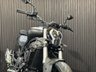 USED 2026 BENELLI 502C ALL COLOURS AVAILABLE, FINANCE AND DELIVERY AVAILABLE ALL COLOURS AVAILABLE NATIONAL DEL