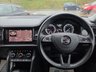 USED 2020 20 SKODA KODIAQ 2.0 TDI SE L SUV 5dr Diesel DSG Euro 6 (s/s) (7 Seat) (150 ps) 