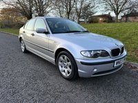 USED 2003 03 BMW 3 SERIES 1.8 316i SE Saloon 4dr Petrol Manual (172 g/km, 115 bhp) 