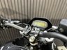 USED 2026 BENELLI BKX 125 S ALL COLOURS AVAILABLE, FINANCE AND DELIVERY AVAILABLE ALL COLOURS AVAILABLE NATIONAL DEL