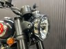 USED 2026 BSA GOLD STAR DELIVERY NATIONWIDE - FINANCE SPECIALISTS ALL COLOURS AVAILABLE NATIONAL DEL