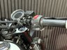 USED 2026 BSA SCRAMBLER DELIVERY NATIONWIDE - FINANCE SPECIALISTS ALL COLOURS AVAILABLE NATIONAL DEL