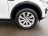 USED 2015 65 LAND ROVER DISCOVERY SPORT 2.0 TD4 SE Tech SUV 5dr Diesel Auto 4WD Euro 6 (s/s) (180 ps) A STUNNING ADDITION TO OUR FORECOURT FINIISHED IN MASSIVELY POPULAR FUJI WHITE PAINT+4 WHEEL DRIVE+7 SEATER+SERVICE HISTORY+DIESEL+AUTOMATIC+ULEZ COMPLIANT+HALF LEATHER INTERIOR+SATELLITE NAVIGATION+PARK ASSIST+CLIMATE CONTROL+18 INCH ALLOY WHEELS+LAND ROVER AUDIO+11 SPEAKERS/SUBWOOFER+CALL NOW TO ARRANGE A VIEWING!!!!!!!!!!!!!!!!!!!!!!!!!!!!!!!!!!!!!!!!!!!!