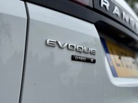USED 2019 69 LAND ROVER RANGE ROVER EVOQUE 2.0 D150 S SUV 5dr Diesel Auto 4WD Euro 6 (s/s) (150 ps) 