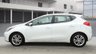 USED 2015 15 KIA CEED 1.6 CRDi 2 Hatchback 5dr Diesel Auto Euro 5 (126 bhp) 