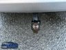 USED 2019 69 FORD KUGA 2.0 TDCi EcoBlue Titanium X Edition SUV 5dr Diesel Manual Euro 6 (s/s) (150 ps) 