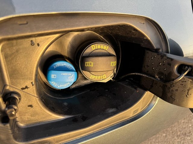 2021 SKODA OCTAVIA - Photo 12