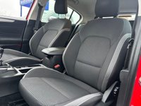 USED 2019 19 FORD FOCUS 1.0T EcoBoost Zetec Hatchback 5dr Petrol Manual Euro 6 (s/s) (100 ps) A/lights,DAB,Bluetooth, FSH