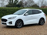 USED 2021 21 FORD KUGA 2.0 EcoBlue ST-Line Edition SUV 5dr Diesel Auto AWD Euro 6 (s/s) (190 ps) 76838 miles f,s,h