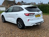 USED 2021 21 FORD KUGA 2.0 EcoBlue ST-Line Edition SUV 5dr Diesel Auto AWD Euro 6 (s/s) (190 ps) 76838 miles f,s,h