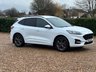 USED 2021 21 FORD KUGA 2.0 EcoBlue ST-Line Edition SUV 5dr Diesel Auto AWD Euro 6 (s/s) (190 ps) 76838 miles f,s,h