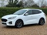 USED 2021 21 FORD KUGA 2.0 EcoBlue ST-Line Edition SUV 5dr Diesel Auto AWD Euro 6 (s/s) (190 ps) 76838 miles f,s,h
