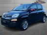 USED 2015 65 FIAT PANDA 1.2 Easy Hatchback 5dr Petrol Manual Euro 6 (69 bhp) 
