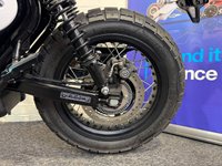 USED 2026 26 BSA SCRAMBLER SCRAMBLER 650 BRAND NEW 2026 3 YEAR WARRANTY