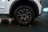 USED 2023 73 FORD RANGER NO VAT - 2.0 TD EcoBlue Wildtrak Pickup Double Cab 4dr Diesel Auto 4WD Euro 6 (s/s) (205 ps) NO VAT + APPLECARPLAY + TOWBAR