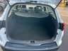 USED 2015 64 FORD FOCUS 1.6 Zetec Estate 5dr Petrol Powershift Euro 6 (125 ps) 