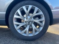 USED 2020 70 LAND ROVER RANGE ROVER 3.0 SD V6 Westminster SUV 5dr Diesel Auto 4WD Euro 6 (s/s) (275 ps) A REALLY BEAUTIFUL EXAMPLE, JUST ARRIVED ON SITE+4 WHEEL DRIVE+ONLY 1 FORMER KEEPER+SERVICE HISTORY+DIESEL+AUTOMATIC+PRIVACY GLASS+FULL LEATHER INTERIOR+FULL PANORAMIC GLASS ROOF+SATELLITE NAVIGATION+PARK ASSIST+CLIMATE CONTROL+21 INCH ALLOY WHEELS+COST NEW &pound;84125 MAKING THIS USED VEHICLE OUTSTANDING VALUE AT OUR LOW PRICE+AN ABSOLUTE BEAUTY THATS NOT TO BE MISSED+CALL NOW TO SECURE A VIEWING AND FOR FULL SPECIFICATION!!!!!!!!!!!!!!!!!!!!!!!!!!!!!!!!!