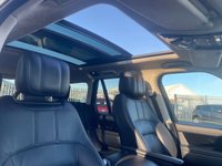 USED 2020 70 LAND ROVER RANGE ROVER 3.0 SD V6 Westminster SUV 5dr Diesel Auto 4WD Euro 6 (s/s) (275 ps) A REALLY BEAUTIFUL EXAMPLE, JUST ARRIVED ON SITE+4 WHEEL DRIVE+ONLY 1 FORMER KEEPER+SERVICE HISTORY+DIESEL+AUTOMATIC+PRIVACY GLASS+FULL LEATHER INTERIOR+FULL PANORAMIC GLASS ROOF+SATELLITE NAVIGATION+PARK ASSIST+CLIMATE CONTROL+21 INCH ALLOY WHEELS+COST NEW &pound;84125 MAKING THIS USED VEHICLE OUTSTANDING VALUE AT OUR LOW PRICE+AN ABSOLUTE BEAUTY THATS NOT TO BE MISSED+CALL NOW TO SECURE A VIEWING AND FOR FULL SPECIFICATION!!!!!!!!!!!!!!!!!!!!!!!!!!!!!!!!!