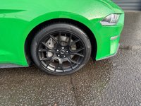 USED 2019 19 FORD MUSTANG 2.3T EcoBoost Fastback 2dr Petrol SelShift Euro 6 (290 ps) UNIQUE COLOUR*FULL LEATHER*DAB*