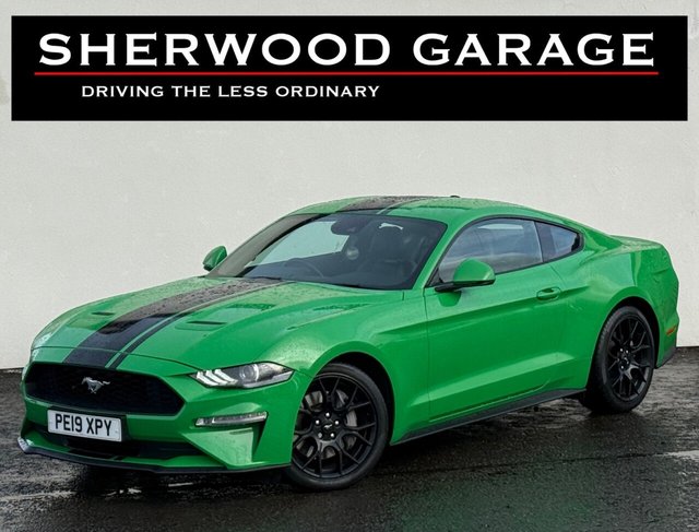 2019 FORD MUSTANG