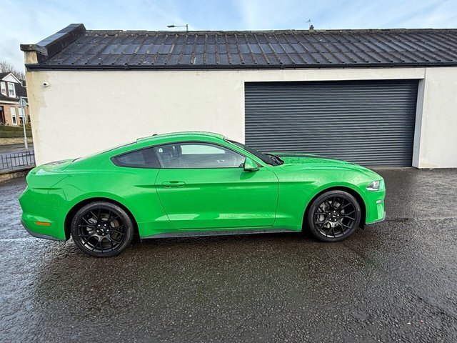 2019 FORD MUSTANG - Photo 2
