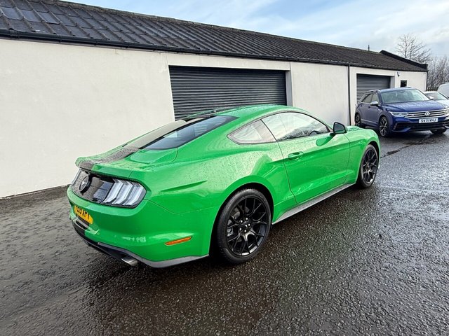 2019 FORD MUSTANG - Photo 3