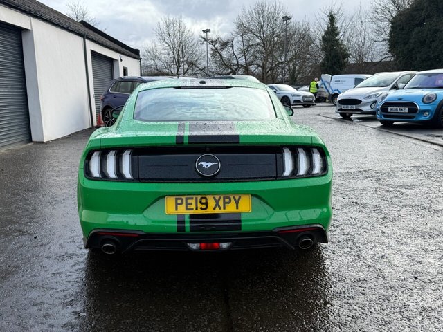 2019 FORD MUSTANG - Photo 5