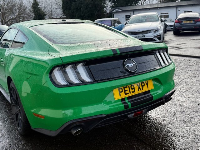 2019 FORD MUSTANG - Photo 6