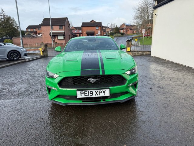 2019 FORD MUSTANG - Photo 11