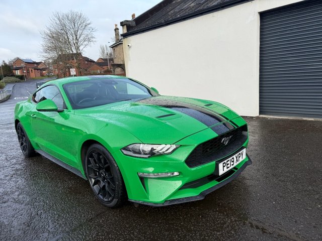 2019 FORD MUSTANG - Photo 12