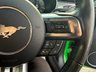 USED 2019 19 FORD MUSTANG 2.3T EcoBoost Fastback 2dr Petrol SelShift Euro 6 (290 ps) UNIQUE COLOUR*FULL LEATHER*DAB*