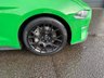 USED 2019 19 FORD MUSTANG 2.3T EcoBoost Fastback 2dr Petrol SelShift Euro 6 (290 ps) UNIQUE COLOUR*FULL LEATHER*DAB*