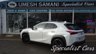 USED 2021 21 LEXUS UX 2.0 250h SUV 5dr Petrol Hybrid Premium Sport Edition Euro 6 (s/s) (184 ps) 