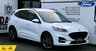 USED 2021 21 FORD KUGA 2.5 EcoBoost Duratec 14.4kWh ST-Line First Edition SUV 5dr Petrol Plug-in Hybrid CVT Euro 6 (s/s) (225 ps) 1 OWNER*REVCAM*CARPLAY*B&O*