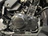 USED 2019 19 SUZUKI V-STROM 250 FINANCE SPECIALISTS APPLY NOW LOW RATE FINANCE DELIVERY AVAILABLE