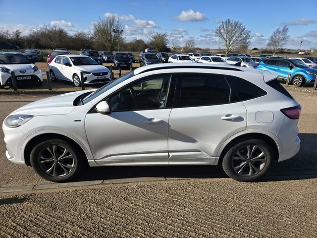 2020 FORD KUGA 2.0 EcoBlue MHEV ST-Line SUV 5dr Diesel Manual Euro 6 (s/s) (150 ps) - Photo 5