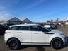 USED 2021 21 LAND ROVER RANGE ROVER EVOQUE 2.0 D165 SUV 5dr Diesel Manual FWD Euro 6 (s/s) (163 ps) A STUNNING ADDITION TO OUR HUGE SELECTION OF EVOQUES, FINISHED IN BEAUTIFUL METALLIC YULONG WHITE PAINT+JUST 1 OWNER FROM NEW+SERVICE HISTORY+DIESEL+LIGHT OYSTER MORZINE HEADLINING+FULL BLACK LEATHER INTERIOR+PARK ASSIST+CLIMATE CONTROL+17 INCH ALLOY WHEELS+1 FULL YEARS MOT PRIOR TO COLLECTION+CALL NOW TO ARRANGE A VIEWING+NOT TO BE MISSED!!!!!!!!!!!!!!!!!!!!!!!!!!!!!!!!!!!!